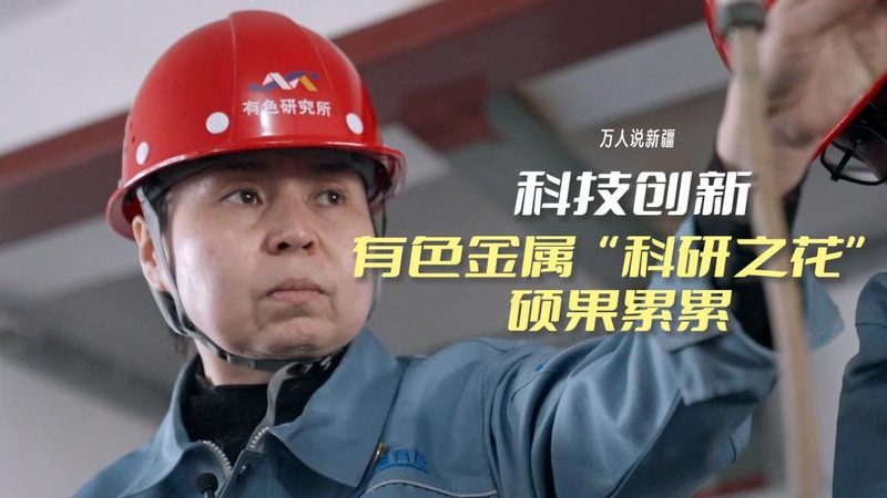 数据中台：2025年品牌排行榜背后的行业洞察